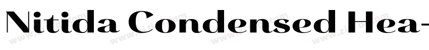 Nitida Condensed Hea字体转换 Nitida Condensed Hea字体转换